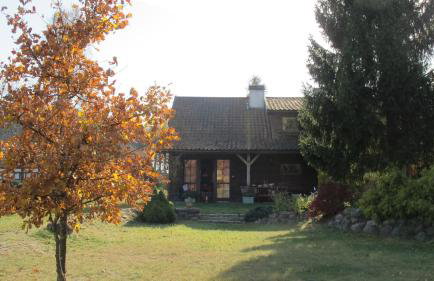 domki na leśnej polanie - Foto 32