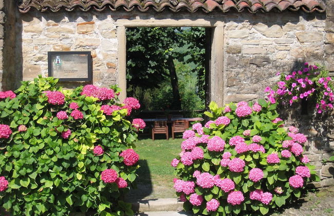 Guest House in Monferrato With Wine Tasting - Foto 23