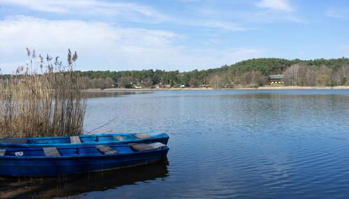 WaldSeeLiebe - Photo 3