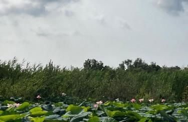 A Casa di Bruna - Foto 38