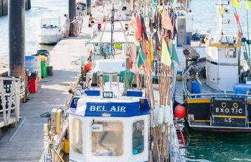 Le Repaire Marin - Foto 19