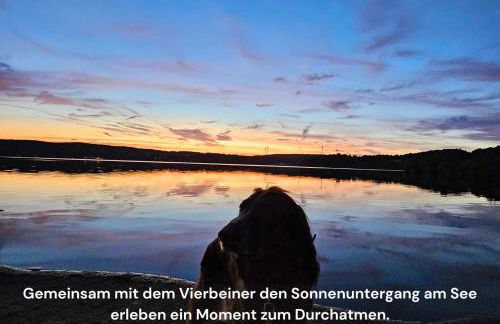 Ferienwohnung Schwarzhof Hahnekräh am Bostalsee - Foto 39