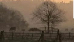 Lincoln lets 23 - Foto 1