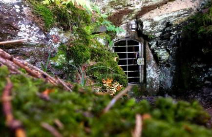 Ferienhaus Henneseeblick - Lake - View - Terrace - Hils - Wood - WIFI - Foto 17