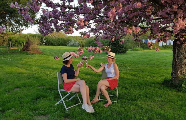 Loire Valley Wine Tour - Photo 6