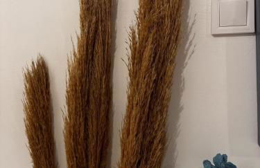 San Giorgio Leros - Foto 34