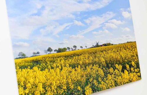 Landwarf Grafthof - Photo 59