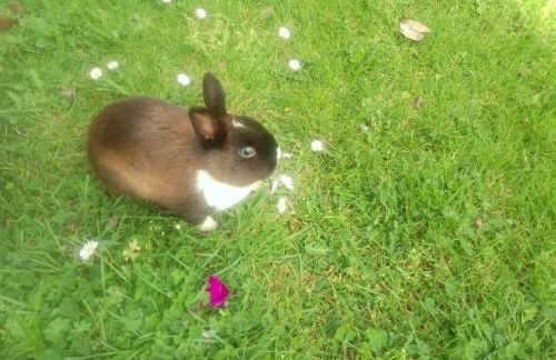 Puente Romano - Foto 29