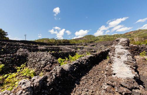 Cantinho do Sossego - Photo 9
