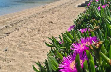 Apartments Simurina - Foto 2