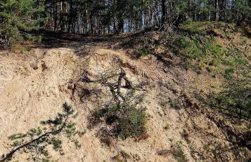 Ferienhaus Grüner Bungalow Kontaktloser CheckIn - Photo 46