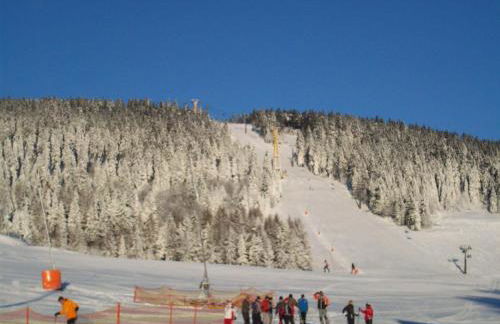 Ferienwohnungen-Am-Schloessel-in-Oberwiesenthal - Foto 18