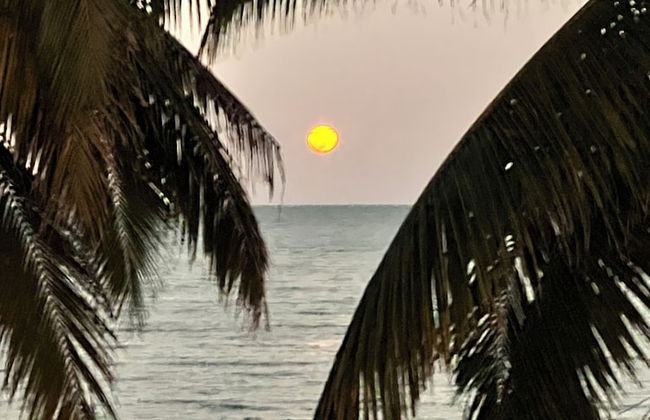 Finca Beachfront Tree house - Foto 21