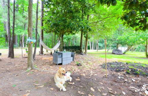 Private 1 Acre Retreat, Spa, Firepit, Gym, Chickens, King Suite, Pets - Foto 63