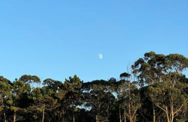 Casería de Valeri Casa El Lagar - Foto 52