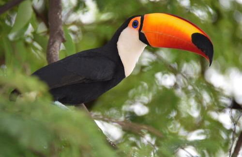 Vila da Sol Itaipava casas e estúdios - Foto 49