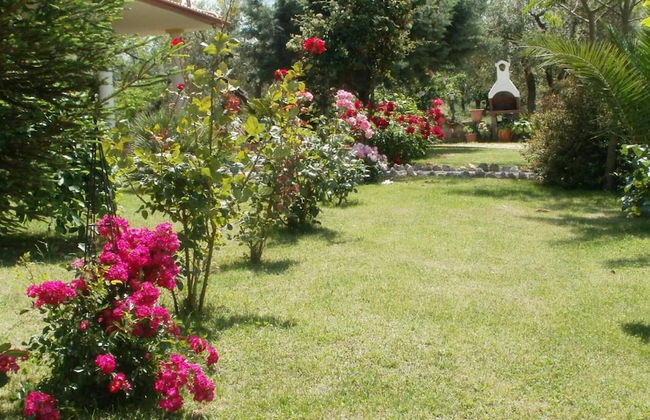 Agriturismo Le Quattro Stagioni - Foto 32