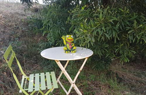 Glamping Frog Farm - Foto 80