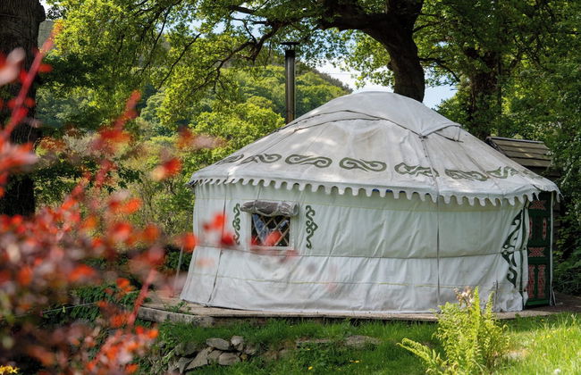Hapus Yurt - Two Beautiful Yurts and Barn Cottage - Foto 49