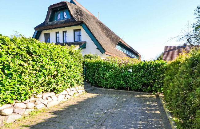 Strandhafer - Foto 21