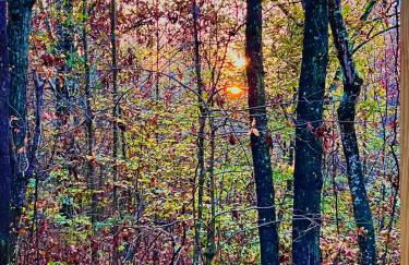 Turkey Creek Cabin Rentals #2 at Tims Ford lake - Foto 45