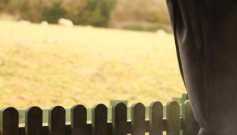 Caer Fedwen Barns Heulog Cottage King Bed Self Catering with Private Hot Tub - Foto 4