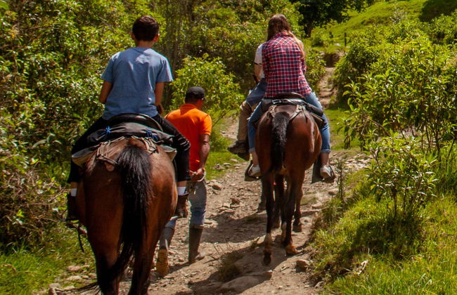 Útica Horse Riding Tour - Photo 6