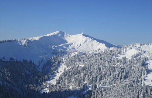 AUSZEIT - Ferienwohnungen in Obermaiselstein - Foto 57