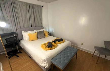 Entire 6BR House near Yale, Hospitals & Downtown - Foto 13