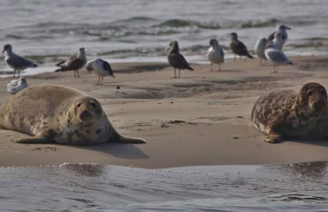 Wellness Villa With Private Bubble Bath - Photo 37