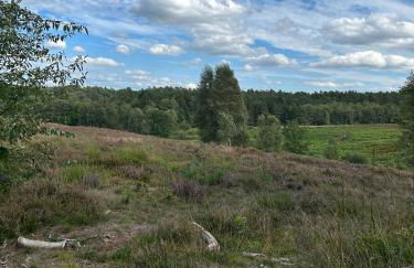 Nordheideblockhaus - Foto 24