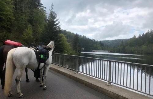 Ferienwohnung an der Wiese - Foto 15