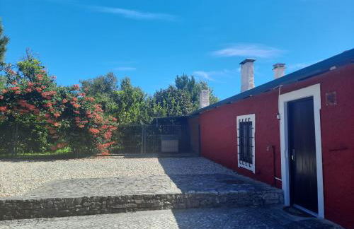QM - Quinta da Morgadinha - Casa em Quinta Rural - Foto 74