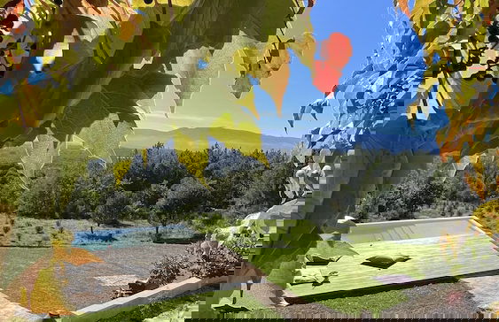 Casas do Pinheiro Grande - Foto 28