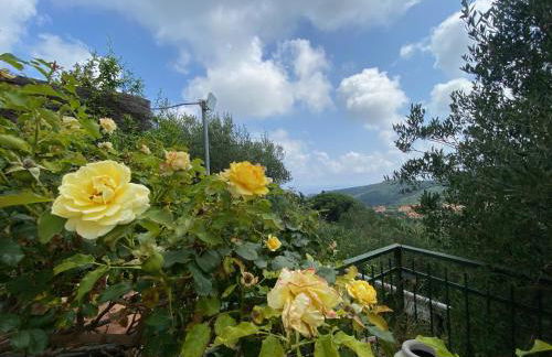 TraMonti e Mare, vista mare giardino, la casa che in ogni stagione si trasforma! - Foto 18