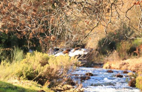 Casa do Bóco - Foto 45