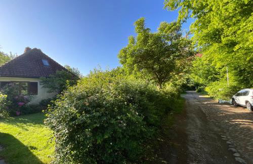 Ferienhaus Tätendorf für die ganze Familie - Foto 3
