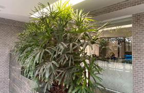 Apto elegante no Catolé 608 - Foto 21