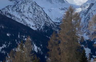 Appartamento Ari - Foto 22