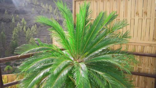 Casa pitita - Foto 5