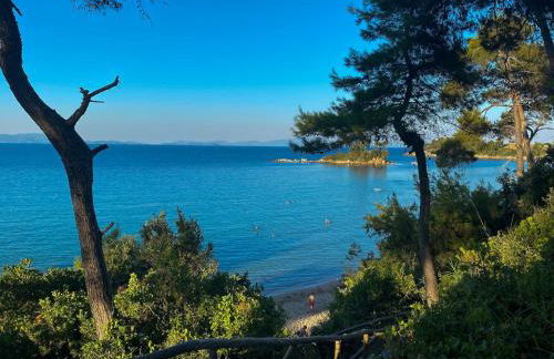 Green and Blue View - Foto 8