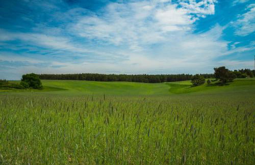 Ferienhaus Segebrecht - Foto 7