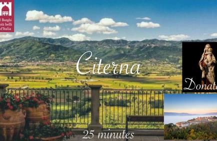 Poet's Rest - Photo 45