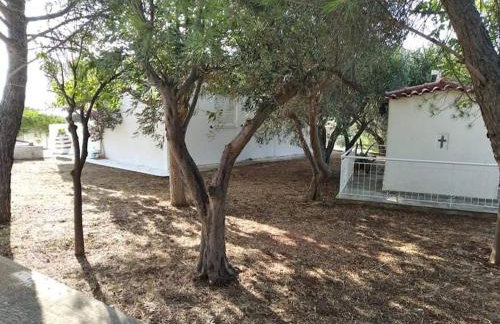 White Villa in Olive trees and Seaview to Panagia - Foto 33