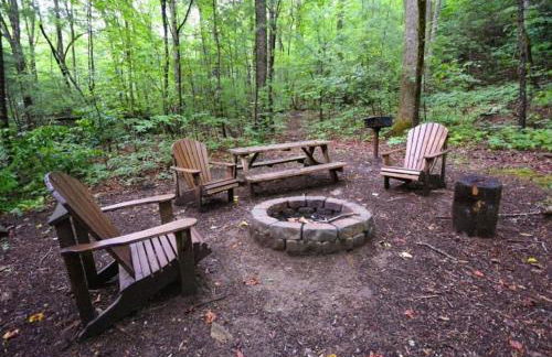 High Top cabin at Cabin Fever in NC - Foto 28