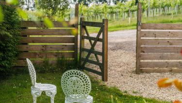 Vine Cottage - Foto 2, Garden