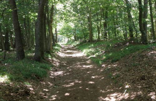 PETITE MAISON AU CALME AVEC VUE MAGNIFIQUE ! - Foto 24