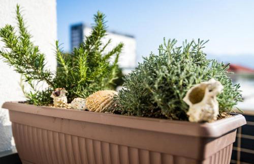 Apartment Romana with a spacious terrace - Foto 47