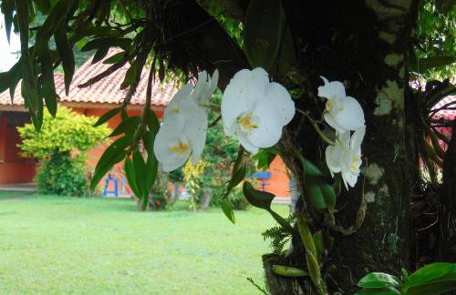 Rancho do Colega - Foto 22