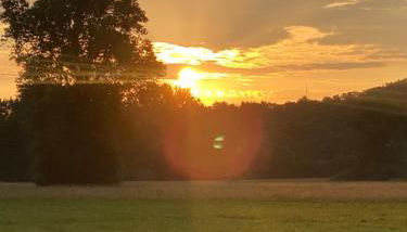 Einzimmer Apartment - Foto 2